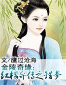 《金陵奇缘:红楼异传之错梦》