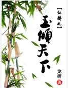 《红楼之玉倾天下》