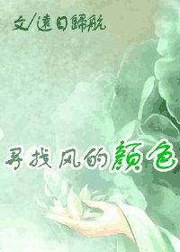 寻找风的颜色