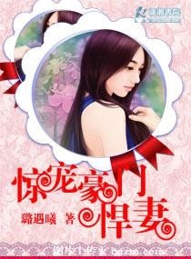 《惊宠豪门悍妻》