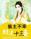 《狼主不乖:财迷十三妾》