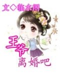 《王爷离婚吧》
