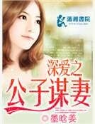 《深爱之公子谋妻》
