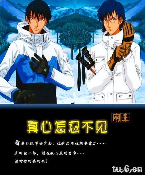 （网王同人）真心怎忍不见忍真