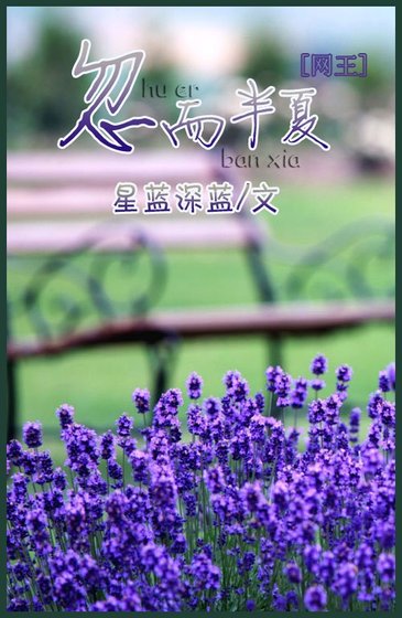 《(网王同人)忽而半夏》