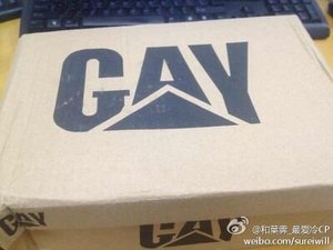 压倒小熊做总攻