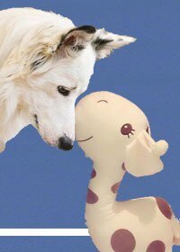 《(美剧同人)Geronimo安全降落 ME》
