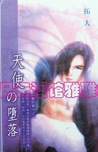 《天使の堕落(恋罪系列终章)》