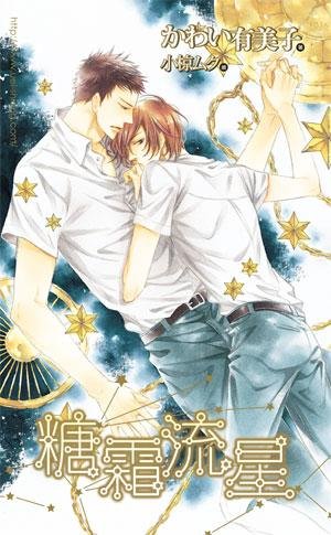 《糖霜流星(出书版)》