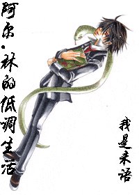 （HP）阿尔.林的低调生活 
