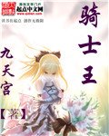 《(Fate/stay night同人)命运夜之我的骑士王》