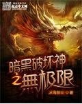 （综同人）暗黑破坏神之无极限
