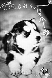 你为什么不穿裤子