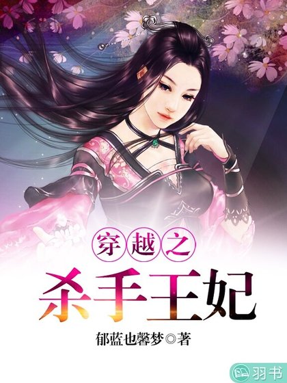 《穿越之杀手王妃》