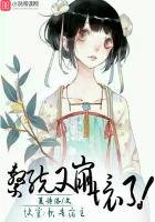 《快穿:报告宿主,系统又崩坏了!》