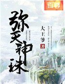 《弥天神珠》