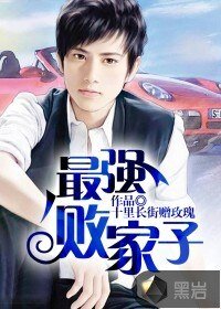 《最强败家子》