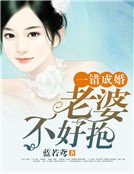 《一错成婚:老婆,不好抱》