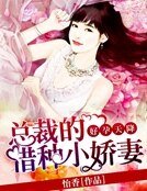 《好孕天降:总裁的借种小娇妻》