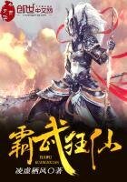 《霸武狂仙》