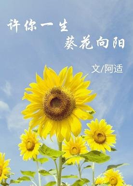 《许你一生,葵花向阳》