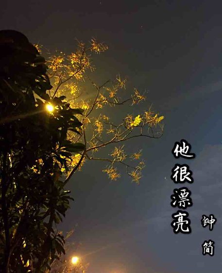 《他很漂亮》