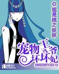 《宠物王爷坏坏妃》