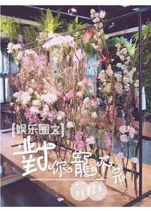 《娱乐圈之对你宠不完 》