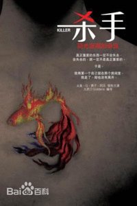 《杀手,回光返照的命运(出版书)》