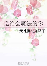 送给会魔法的你