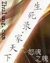 《生肆天下家》