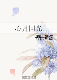 《心月同光》