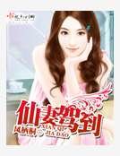 《仙妻驾到》
