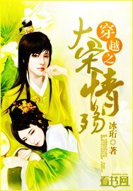 《穿越之大宋情殇》