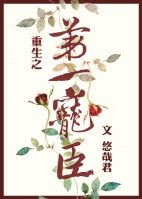 《重生之第一宠臣》