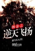 《网游之逆天飞扬》