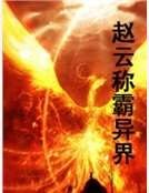 《赵云称霸异界》