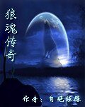 《狼魂传奇》