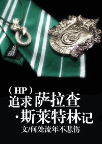 《(HP同人)追求萨拉查斯莱特林记》