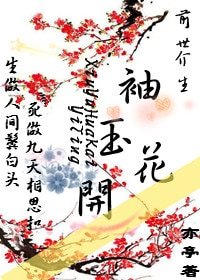 《前世今生袖玉花开》