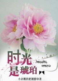 《时光是琥珀》