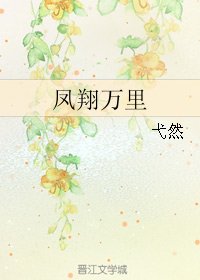 《(十二国记同人)凤翔万里》
