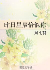《昨日星辰恰似你》