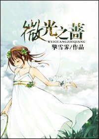 《微光之蔷》