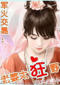 《军火交易:老婆太狂野》
