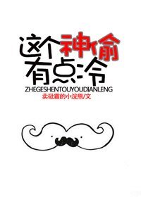 《这个神偷有点冷》
