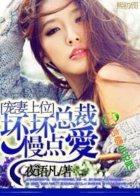 《宠妻上位,坏坏总裁慢点爱》