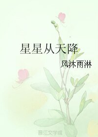 《星星从天降》