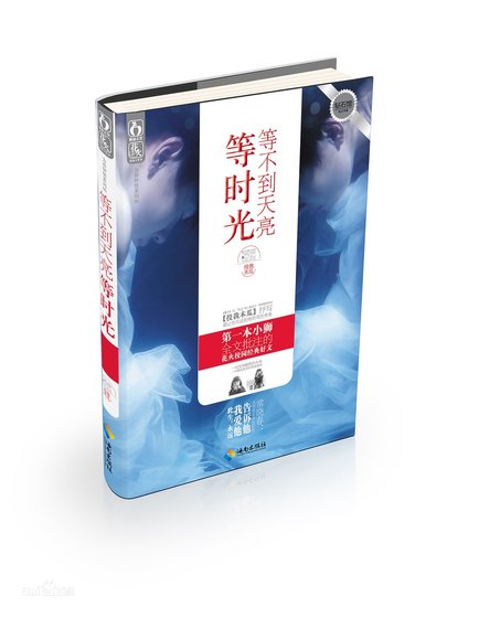 《等不到天亮等时光(出书版)》