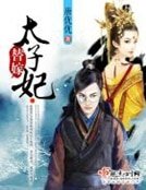 《替嫁太子妃》